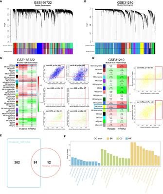 Based on machine learning, CDC20 has been identified as a biomarker for postoperative recurrence and progression in stage I & II lung adenocarcinoma patients